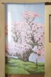 Photo1: Noren CSMO Japanese door curtain Miharutakizakura 85 x 150cm (1)