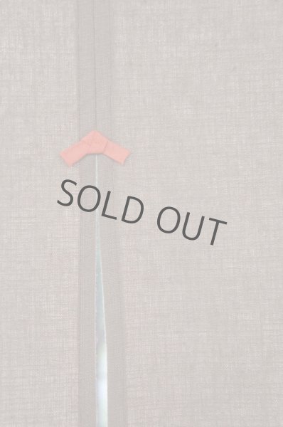 Photo2: Noren CSMO Japanese door curtain Kusakizome brown 85 x 150cm (2)