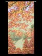 Photo1: Noren CSMO Japanese door curtain Momijinosanpomichi 85 x 170cm (1)