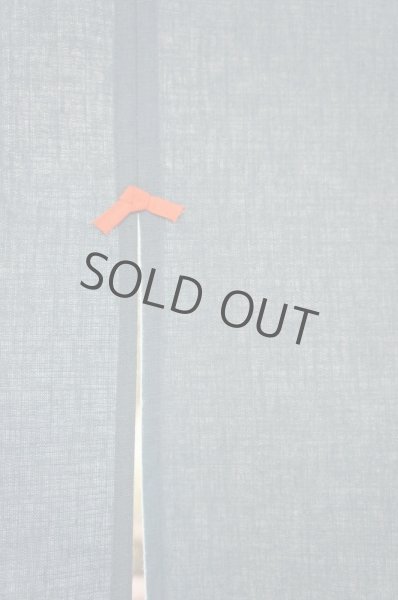 Photo2: Noren CSMO Japanese door curtain Kusakizome navy-blue 85 x 150cm (2)