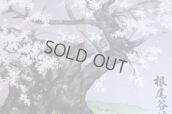 Photo5: Noren CSMO Japanese door curtain Neodani-uzumizakura 85 x 150cm (5)