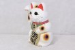 Photo2: Japanese Lucky Cat Tokoname ware YT Porcelain Maneki Neko koban right hand H23cm (2)