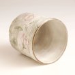 Photo3: Kutani Porcelain yunomi tea cup pottery tumbler cosumosu 380ml (3)