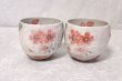 Photo3: Mino Japanese pottery yunomi tea cups set of 2 cherry blossoms w/wooden box (3)