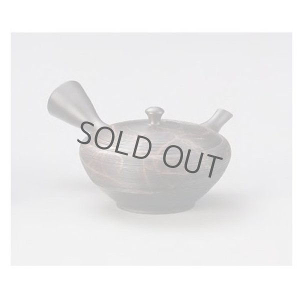 Photo8: Tokoname yaki ware Japanese tea pot Gyokko kamahen ceramic tea strainear 140ml (8)