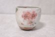 Photo4: Mino Japanese pottery yunomi tea cups set of 2 cherry blossoms w/wooden box (4)