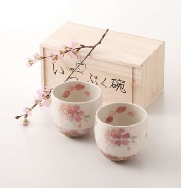 Mino Japanese pottery yunomi tea cups set of 2 cherry blossoms w