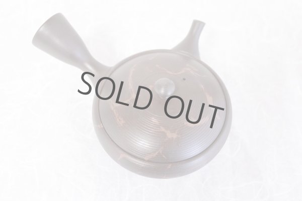 Photo4: Tokoname yaki ware Japanese tea pot Gyokko kamahen ceramic tea strainear 140ml (4)