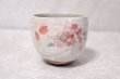 Photo5: Mino Japanese pottery yunomi tea cups set of 2 cherry blossoms w/wooden box (5)