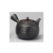 Photo13: Tokoname ware Japanese tea pot kyusu ceramic strainer sendan Gyokko 470ml (13)