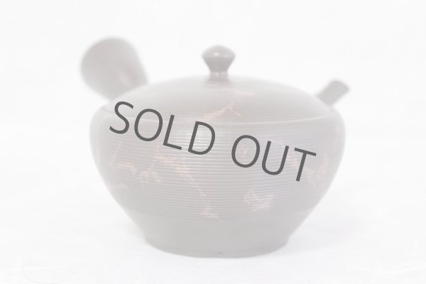 Photo7: Tokoname yaki ware Japanese tea pot Gyokko kamahen ceramic tea strainear 140ml (7)