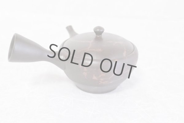 Photo3: Tokoname yaki ware Japanese tea pot Gyokko kamahen ceramic tea strainear 140ml (3)