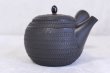 Photo7: Tokoname ware Japanese tea pot kyusu ceramic strainer sendan Gyokko 470ml (7)