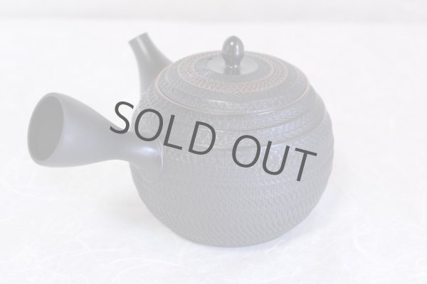 Photo2: Tokoname ware Japanese tea pot kyusu ceramic strainer sendan Gyokko 470ml (2)