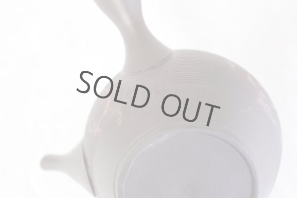 Photo6: Tokoname yaki ware Japanese tea pot Gyokko kamahen ceramic tea strainear 140ml (6)