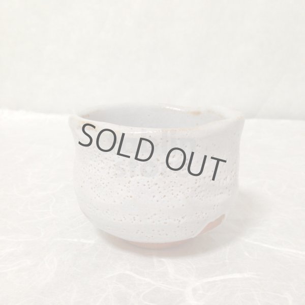 Photo5: Mino ware Japanese pottery matcha chawan tea bowl toga miyako noten (5)