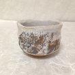 Photo1: Mino ware Japanese pottery matcha chawan tea bowl toga miyako noten (1)