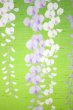 Photo4: Noren Japanese Curtain Doorway NM fuji wisteria green 85 x 150cm (4)