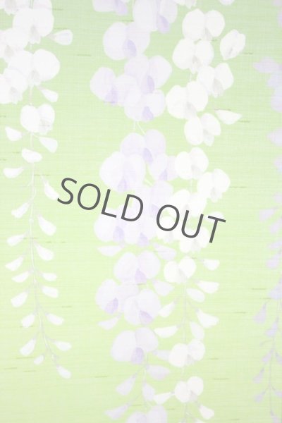 Photo4: Noren Japanese Curtain Doorway NM fuji wisteria green 85 x 150cm (4)