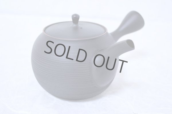 Photo2: Tokoname Japanese tea pot kyusu Gyokko ceramic tea strainer black sendan 480ml (2)