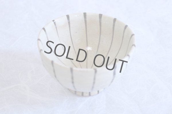 Photo8: Mino ware Japanese pottery matcha chawan tea bowl toga togusa dai noten (8)