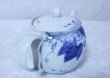 Photo4: Hasami Porcelain Japanese tea pot Kosen budo S type strainer 725ml (4)