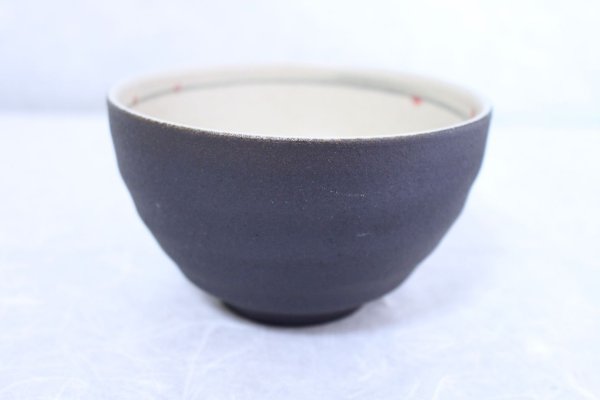 Photo4: Shigaraki pottery Japanese soup noodle serving bowl haruuta D135mm (4)