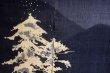 Photo6: Noren Mitsuru Japanese linen door curtain Kakishibuzome snow scene 88 x 150cm (6)
