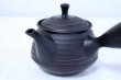 Photo3: Tokoname yaki ware Japanese tea pot Hokuryu ceramic tea strainer 260ml (3)