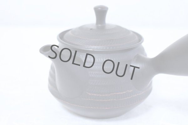 Photo3: Tokoname yaki ware Japanese tea pot Hokuryu ceramic tea strainer 260ml (3)