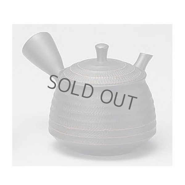 Photo8: Tokoname yaki ware Japanese tea pot Hokuryu ceramic tea strainer 260ml (8)