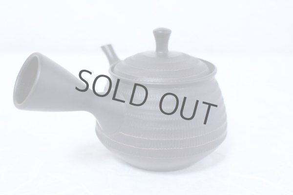 Photo2: Tokoname yaki ware Japanese tea pot Hokuryu ceramic tea strainer 260ml (2)