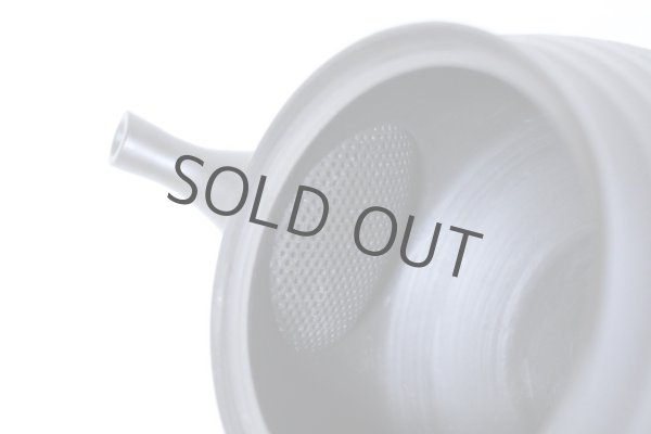 Photo6: Tokoname yaki ware Japanese tea pot Hokuryu ceramic tea strainer 260ml (6)