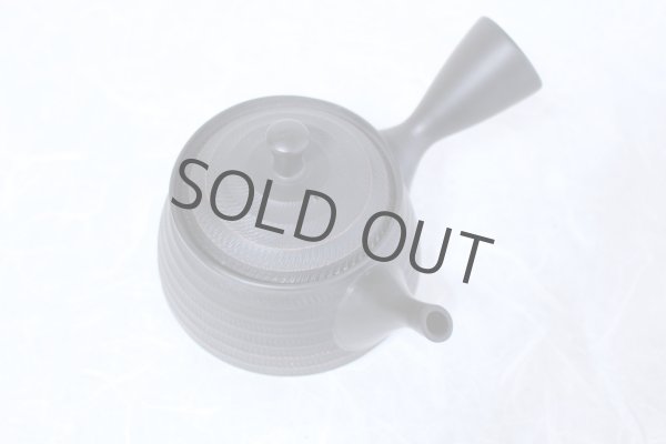 Photo5: Tokoname yaki ware Japanese tea pot Hokuryu ceramic tea strainer 260ml (5)