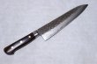 Photo5: SAKAI TAKAYUKI Japanese knife 17 hemmered Damascus-Layers VG10 core any type (5)