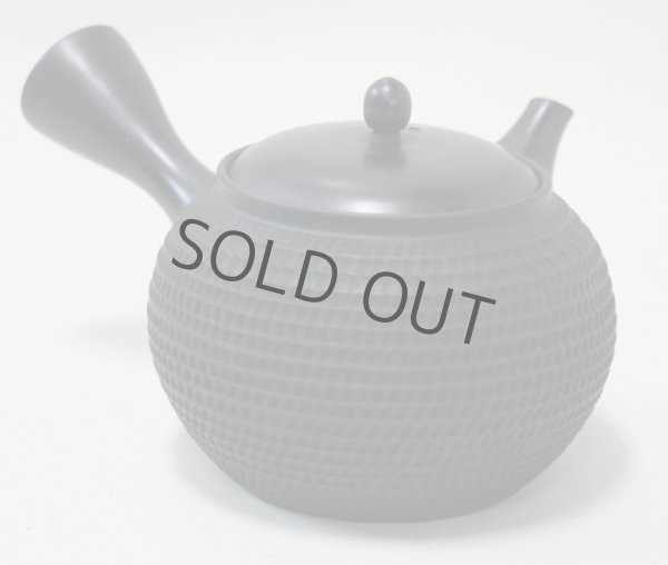 Photo10: Tokoname Japanese tea pot kyusu Gyokko pottery tea strainer black dei ma 300ml (10)