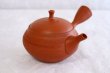Photo5: Tokoname Japanese tea pot kyusu Shoryu ceramic tea strainear shin syudei 300ml (5)