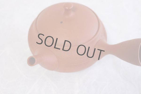 Photo9: Tokoname Japanese tea pot kyusu Shoryu ceramic tea strainear shin syudei 300ml (9)