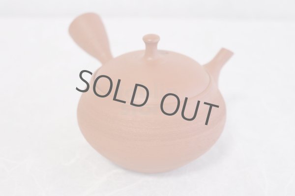 Photo4: Tokoname Japanese tea pot kyusu Shoryu ceramic tea strainear shin syudei 300ml (4)
