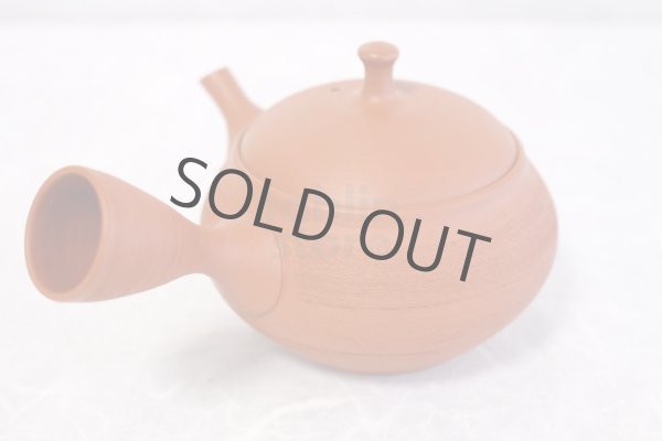 Photo3: Tokoname Japanese tea pot kyusu Shoryu ceramic tea strainear shin syudei 300ml (3)