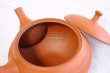 Photo6: Tokoname Japanese tea pot kyusu Shoryu ceramic tea strainear shin syudei 300ml (6)