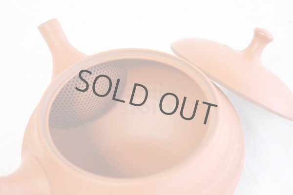 Photo6: Tokoname Japanese tea pot kyusu Shoryu ceramic tea strainear shin syudei 300ml (6)