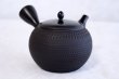 Photo4: Tokoname Japanese tea pot kyusu Gyokko pottery tea strainer black dei ma 300ml (4)