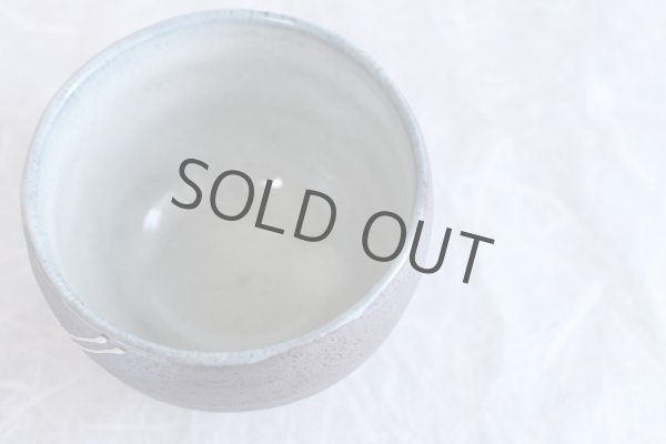 Photo6: Mino ware Japanese pottery matcha chawan tea bowl toga ryusei noten (6)