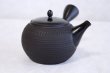 Photo5: Tokoname Japanese tea pot kyusu Gyokko pottery tea strainer black dei ma 300ml (5)