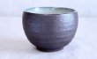 Photo4: Mino ware Japanese pottery matcha chawan tea bowl toga ryusei noten (4)