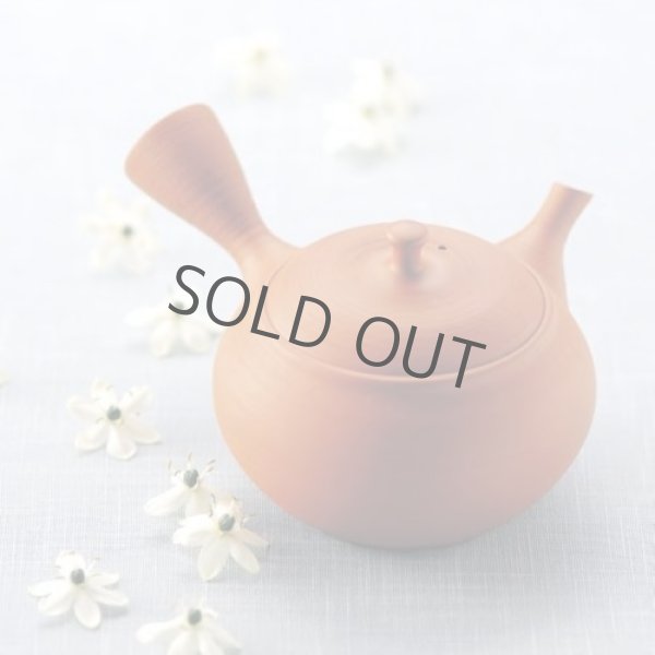 Photo10: Tokoname Japanese tea pot kyusu Shoryu ceramic tea strainear shin syudei 300ml (10)