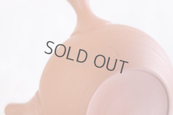 Photo8: Tokoname Japanese tea pot kyusu Shoryu ceramic tea strainear shin syudei 300ml (8)