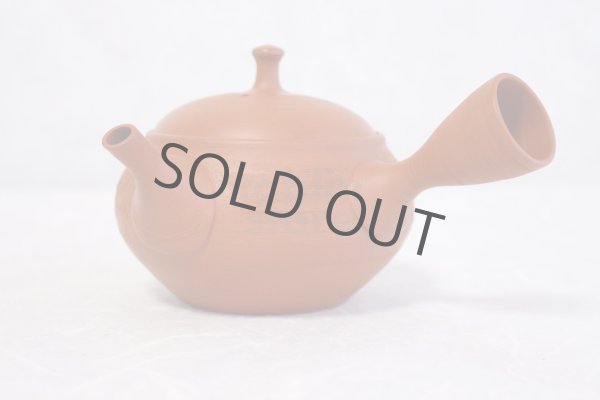 Photo2: Tokoname Japanese tea pot kyusu Shoryu ceramic tea strainear shin syudei 300ml (2)