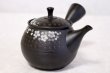 Photo5: Tokoname ware Japanese tea pot kyusu ceramic strainer YT Hokuryu in plum 300ml (5)